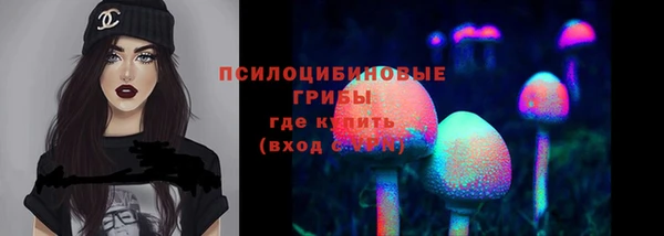твердый Аркадак