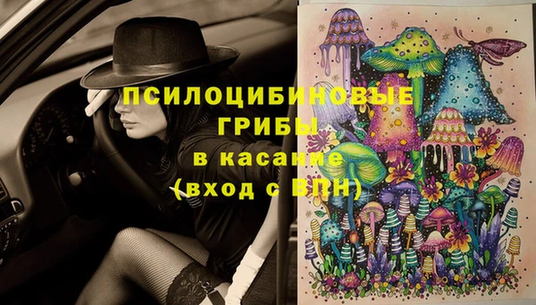 твердый Аркадак