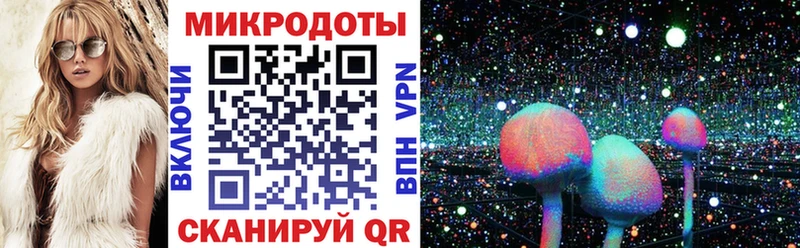 купить наркотик  Славгород  Галлюциногенные грибы Psilocybe 